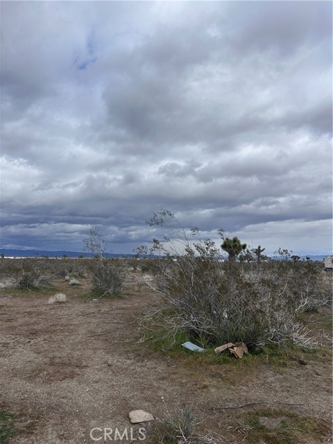 Detail Gallery Image 23 of 27 For 0 30980410, Phelan,  CA 92371 - – Beds | – Baths