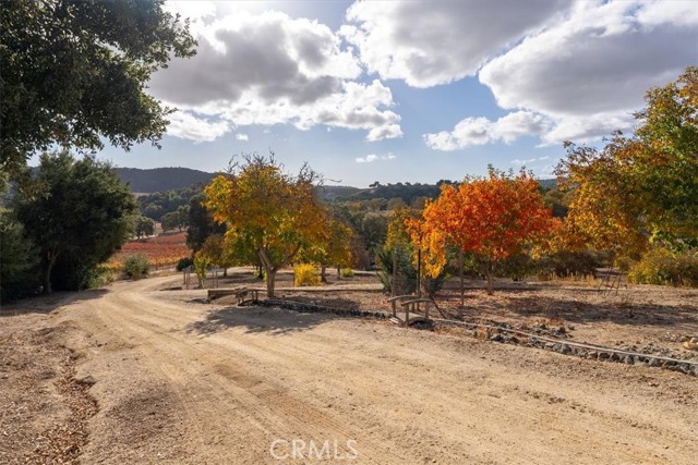 Detail Gallery Image 40 of 51 For 4350 Vineyard Dr, Paso Robles,  CA 93446 - 4 Beds | 3/1 Baths