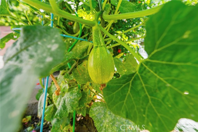 Detail Gallery Image 45 of 51 For 9546 Cecilia, Downey,  CA 90241 - 4 Beds | 2 Baths