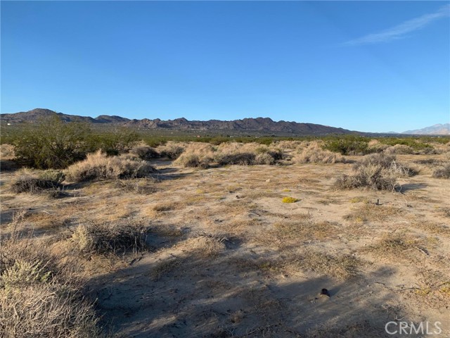 0 Pipeline Road, Joshua Tree, California 92252, ,Land,For Sale,0 Pipeline Road,CRDW23206723