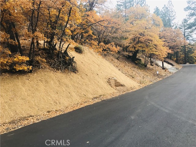 0 Sheephorn Rd, Big Bear City, California 92315, ,Land,For Sale,0 Sheephorn Rd,CRIG21227250