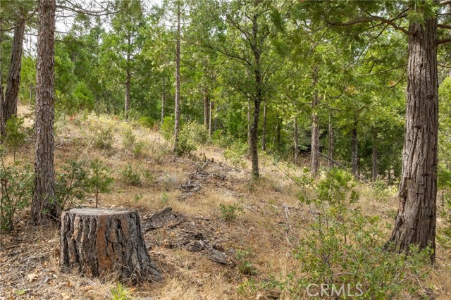 Detail Gallery Image 10 of 55 For 26 Timberview, North Fork,  CA 93643 - – Beds | – Baths