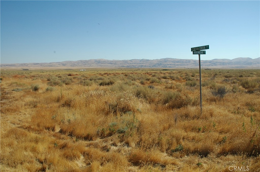 0 Arrow Bear Trail