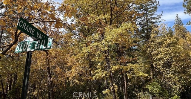 Detail Gallery Image 3 of 8 For 54692 Bluegill, Bass Lake,  CA 93604 - – Beds | – Baths