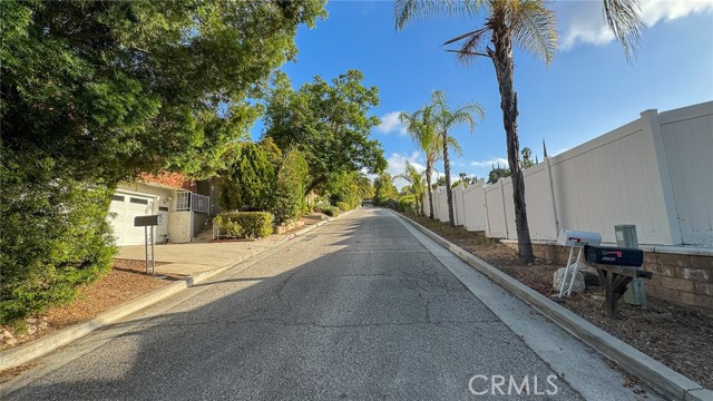 22762 Avenue San Luis photo 54