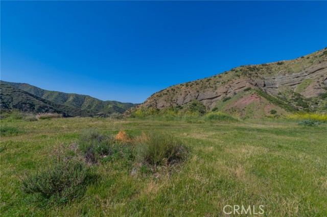 Image 15 of 35 For 28741 Williams Canyon Rd.