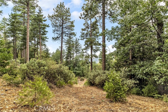 Detail Gallery Image 64 of 72 For 29901 Eagles Nest Dr., Idyllwild,  CA 92549 - 6 Beds | 5 Baths