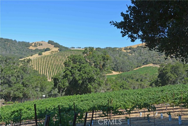 Detail Gallery Image 26 of 36 For 0 Adelaida Road, Paso Robles,  CA 93446 - – Beds | – Baths