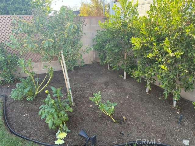 Detail Gallery Image 20 of 32 For 1511 Bruning Ave, Glendora,  CA 91740 - 3 Beds | 2 Baths