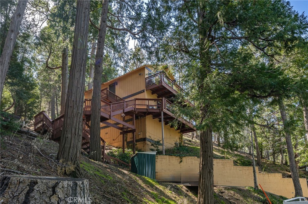 24333 Horst Drive