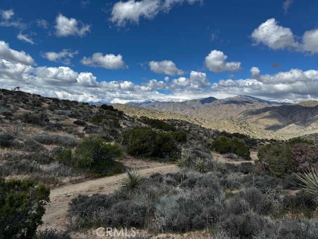 MLS #JT25188299 image #9