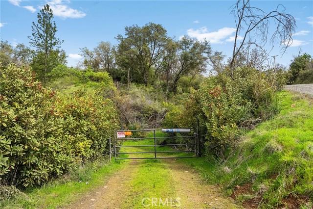 Detail Gallery Image 40 of 57 For 0 Canyon Creek Rd, Berry Creek,  CA 95916 - 1 Beds | 1 Baths