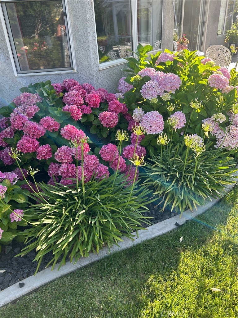 https://media.crmls.org/medias/e04912a1-e0b5-4ea7-8c2f-84b0fbd8762b.jpg?preset=X-Large
