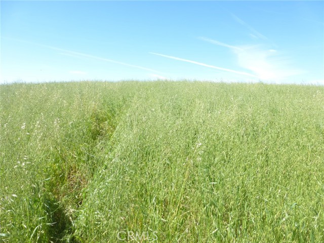 Detail Gallery Image 32 of 44 For 0 Douglas Rd. (Lot 34), San Miguel,  CA 93451 - – Beds | – Baths