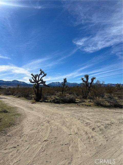 Detail Gallery Image 3 of 15 For 206 S Cor Ave X Largo Vista 2, Llano,  CA 93544 - – Beds | – Baths