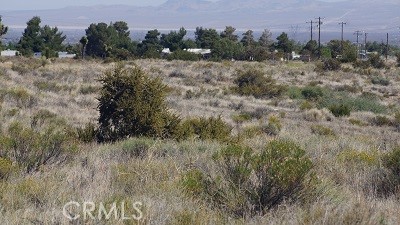 Detail Gallery Image 5 of 9 For 4 Wilson Ranch Rd, Phelan,  CA 92371 - – Beds | – Baths