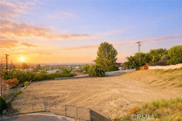 Front Image Thumbnail for CROC26050447