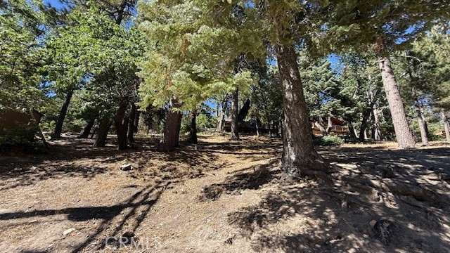 33112 Juniper Lane, Green Valley Lake CA: https://media.crmls.org/medias/e06f8a6c-76ec-4724-9f8f-908447acf517.jpg