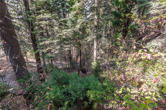 Detail Gallery Image 17 of 31 For 529 West Victoria Ct, Lake Arrowhead,  CA 92352 - 2 Beds | 1 Baths