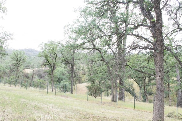 15723 El Dorado Drive, Corning CA: https://media.crmls.org/medias/e07d1b6d-4026-4caa-bc04-1644165dd759.jpg