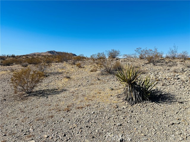 Detail Gallery Image 8 of 11 For 24 Avenida Del Sol, Joshua Tree,  CA 92252 - – Beds | – Baths