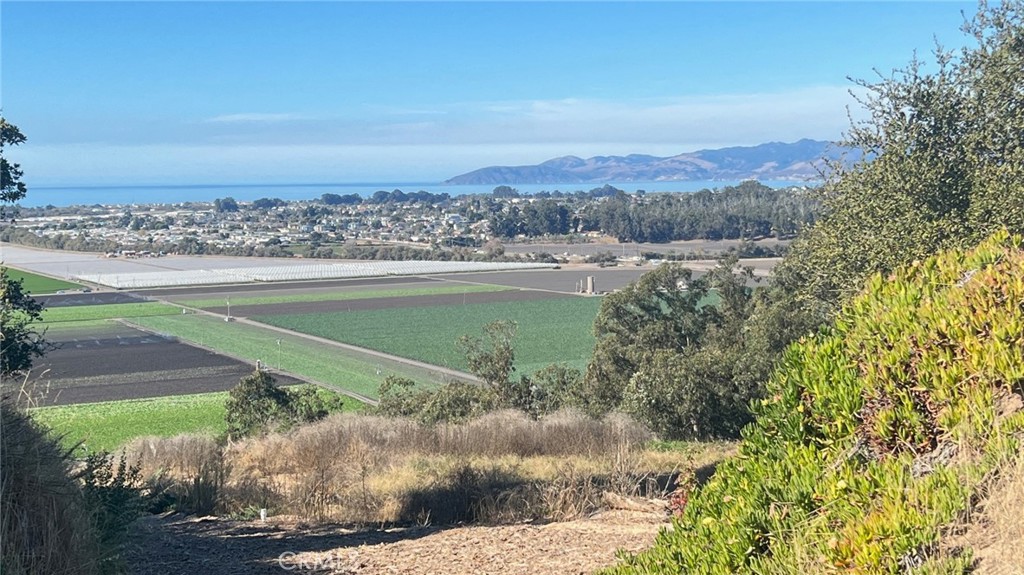 MLS #SW25072509 image #17