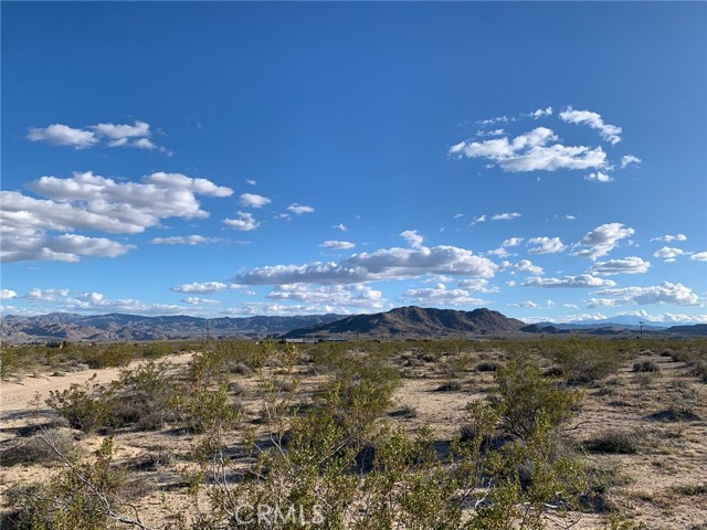 Detail Gallery Image 8 of 13 For 42 Foxy Flats Rd, Joshua Tree,  CA 92252 - – Beds | – Baths