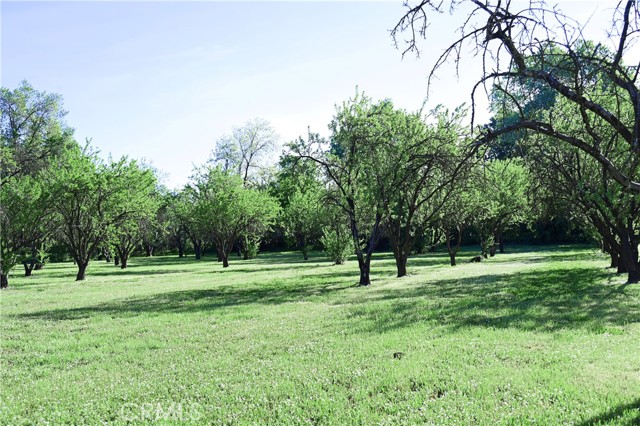 Detail Gallery Image 34 of 35 For 2460 Estes Rd, Chico,  CA 95928 - 3 Beds | 2 Baths