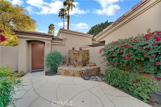 Image 5 for 76506   Begonia LN