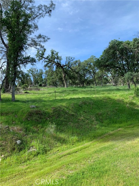 Detail Gallery Image 2 of 9 For 141 Gold Pan Ct, Bangor,  CA 95914 - – Beds | – Baths