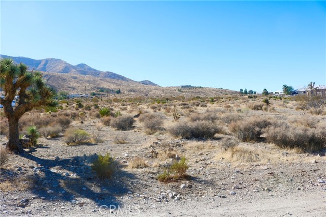 0 Juniper, Apple Valley CA: https://media.crmls.org/medias/e0a1bb26-5d89-4741-93fc-978e74d89bfd.jpg