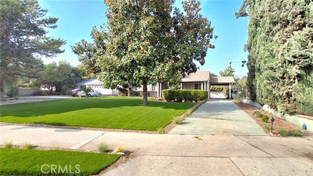 Front Image Thumbnail for CRGD25247897