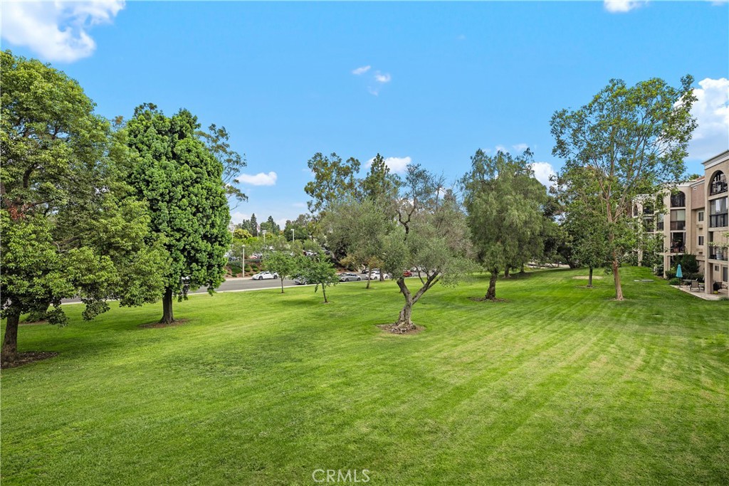 E0ae741b 1c20 4d16 Bc1d 5f2284036637