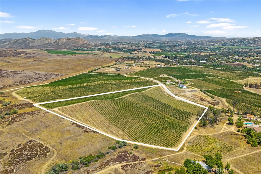 MLS #SW25161061 img 6