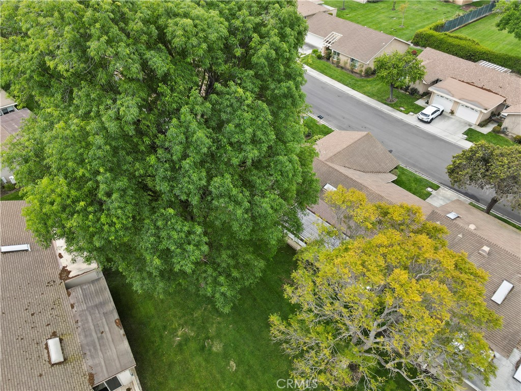 https://media.crmls.org/medias/e0beaed1-875b-472b-a616-9f5442952845.jpg?preset=X-Large