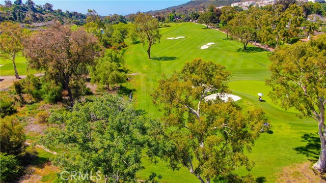 30421 Mirador Court, Laguna Niguel CA: https://media.crmls.org/medias/e0bef973-c299-4e69-ba74-5642e3a7ae60.jpg