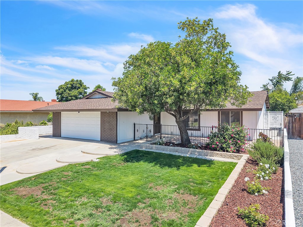24928 Basswood