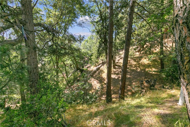 Detail Gallery Image 40 of 41 For 1280 Montreal Dr, Lake Arrowhead,  CA 92352 - 3 Beds | 1/1 Baths