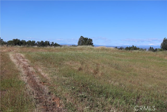 Detail Gallery Image 16 of 32 For 0 Carona Ave., Corning,  CA 96021 - – Beds | – Baths