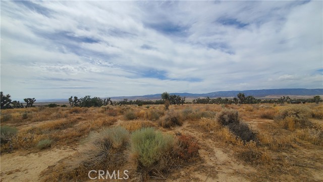 0 Vicinity Kingbird & 243rd St W, Rosamond, California 93560, ,Land,For Sale,0 Vicinity Kingbird & 243rd St W,CRSR23155108