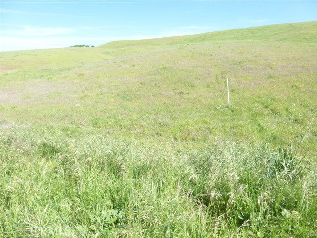 Detail Gallery Image 17 of 40 For 0 Douglas Rd. (Lot 43), San Miguel,  CA 93451 - – Beds | – Baths