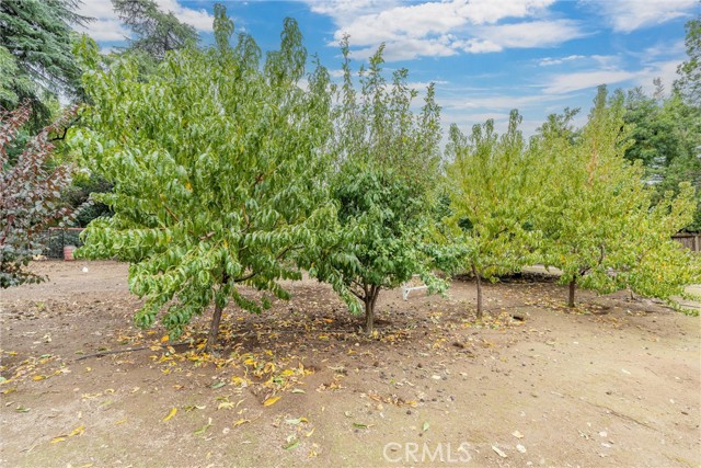 Detail Gallery Image 53 of 61 For 2279 North Ave, Chico,  CA 95926 - 4 Beds | 2 Baths