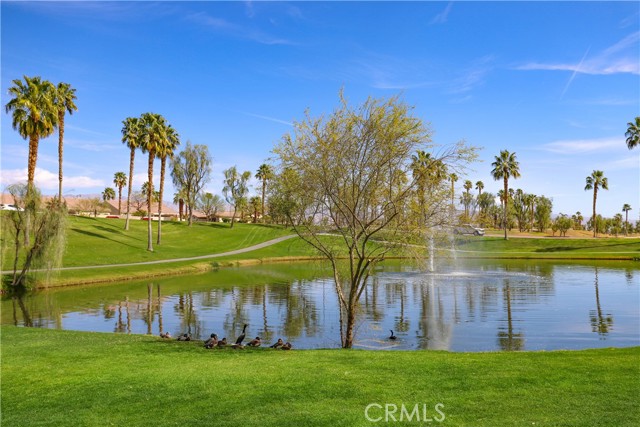 Detail Gallery Image 52 of 57 For 80358 Avenida Santa Alicia, Indio,  CA 92203 - 2 Beds | 2 Baths