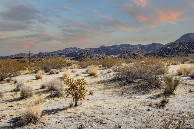 6991 Mount Lassen Avenue, Joshua Tree, California 92252, 3 Bedrooms Bedrooms, ,3 BathroomsBathrooms,Residential Lease,For Rent,6991 Mount Lassen Avenue,CRJT25013170
