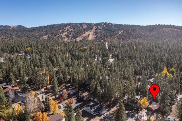 Detail Gallery Image 21 of 46 For 320 Dove Ct, Big Bear Lake,  CA 92315 - 3 Beds | 2 Baths