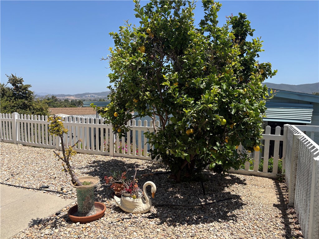 650 Rancho Santa Fe - photo 8