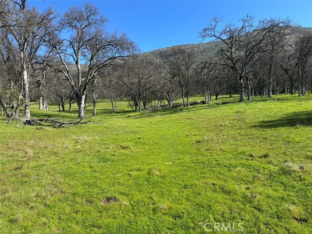 Detail Gallery Image 16 of 32 For 471 Ac - Hwy 49n, Mariposa,  CA 95338 - – Beds | – Baths