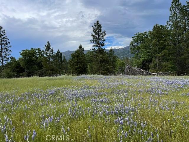 Detail Gallery Image 8 of 20 For 2964 Triangle Rd, Mariposa,  CA 95338 - – Beds | – Baths