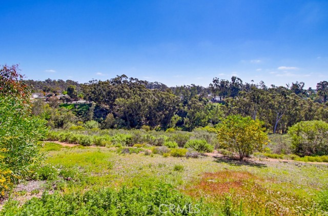 Detail Gallery Image 51 of 69 For 12030 Redcliff Ct, San Diego,  CA 92131 - 5 Beds | 3 Baths