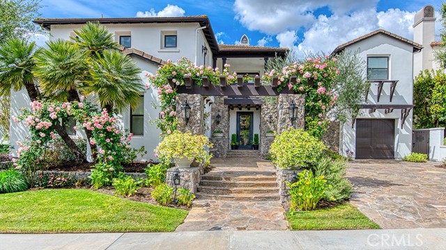 Front Image Thumbnail for CROC26082409